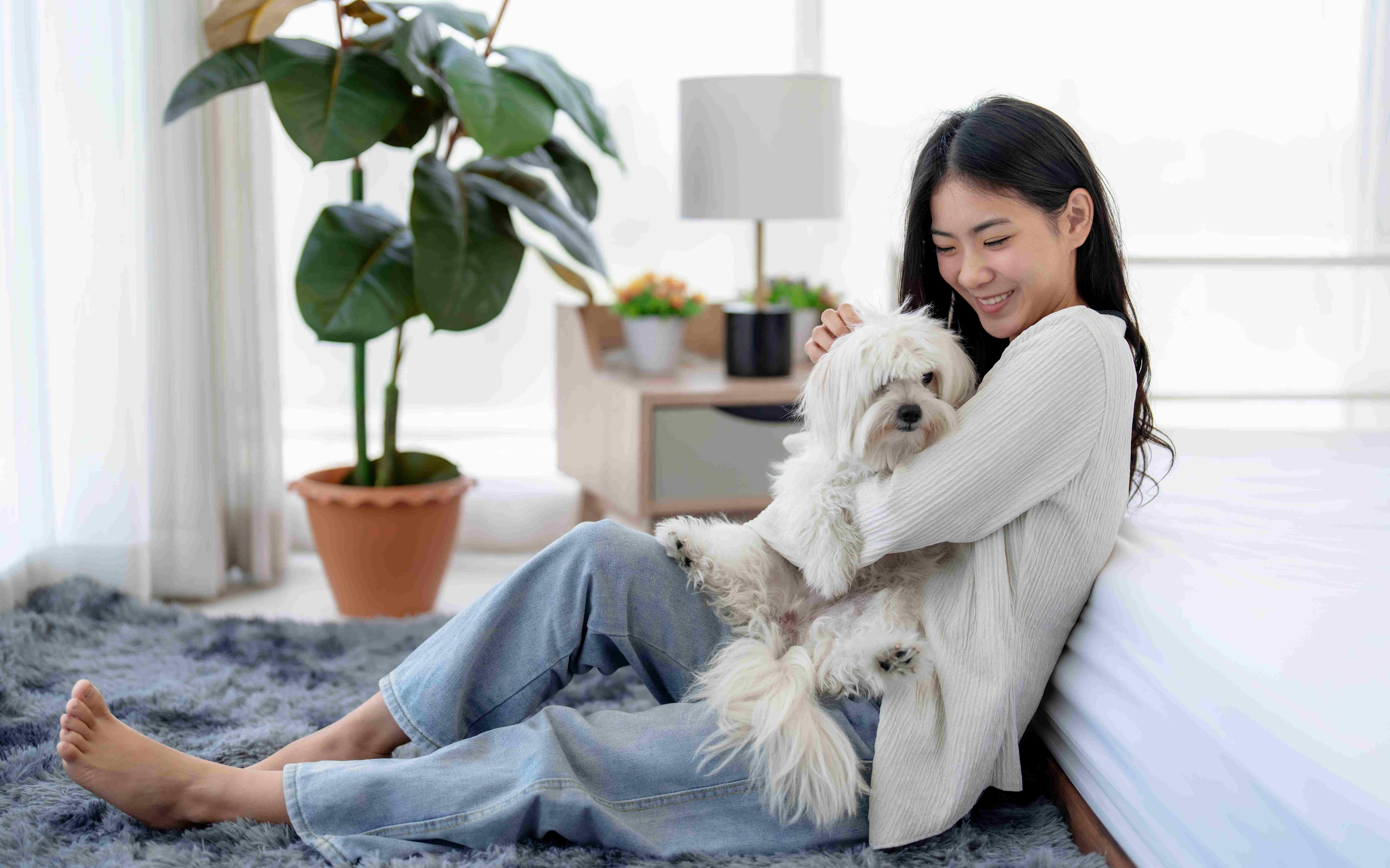 Mikrobiom- und Parasiten-Analyse für Haustiere: {Tiergesundheit}