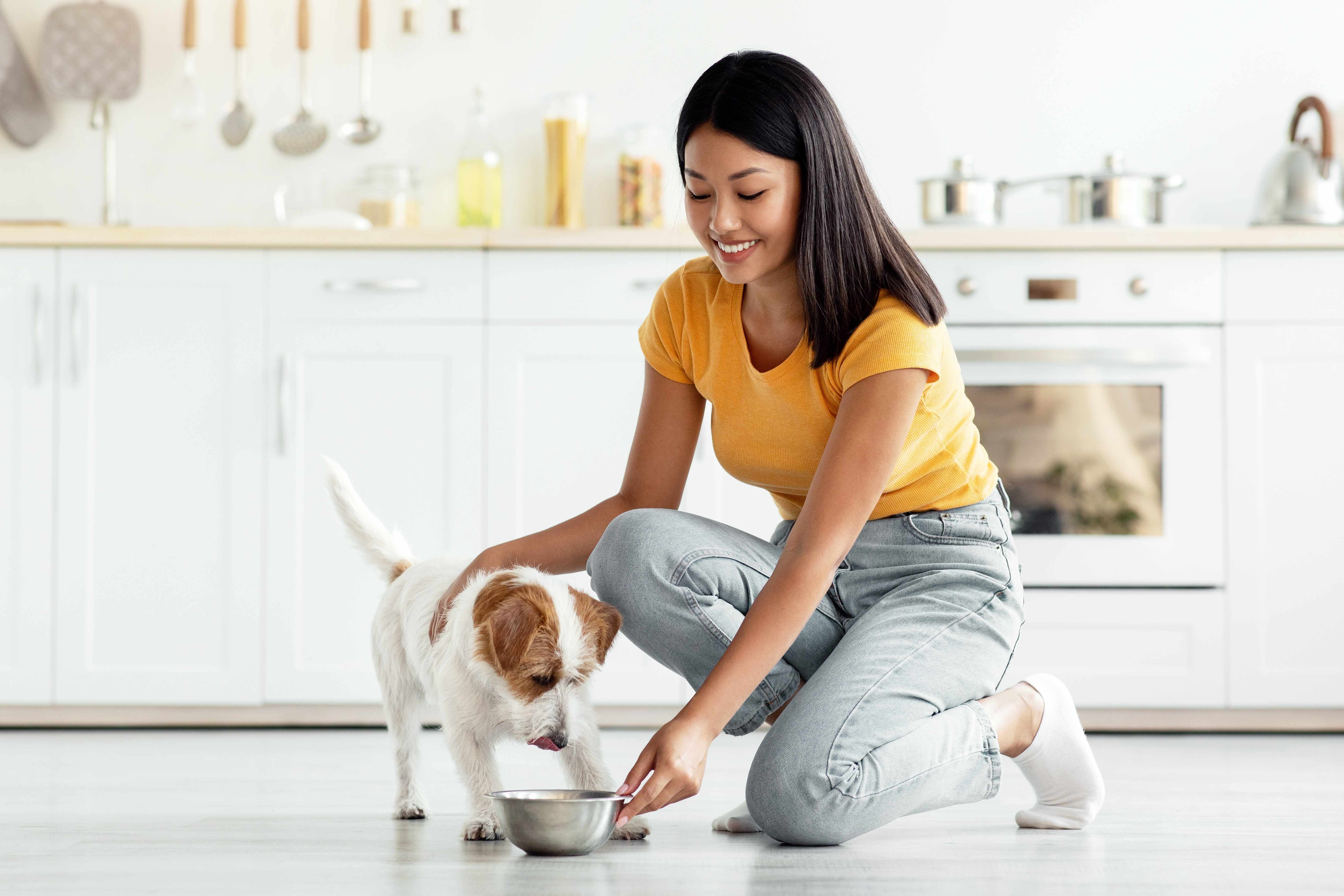Mikrobiom- und Parasiten-Analyse für Haustiere: {Tiergesundheit}